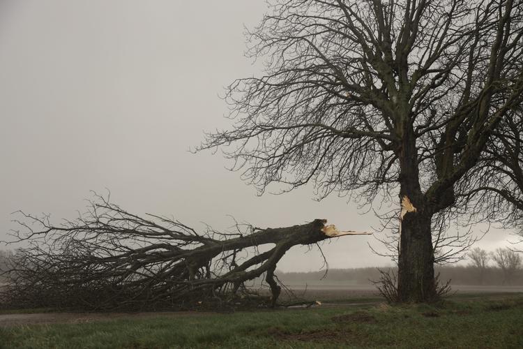 Foto: Andreas Merrald