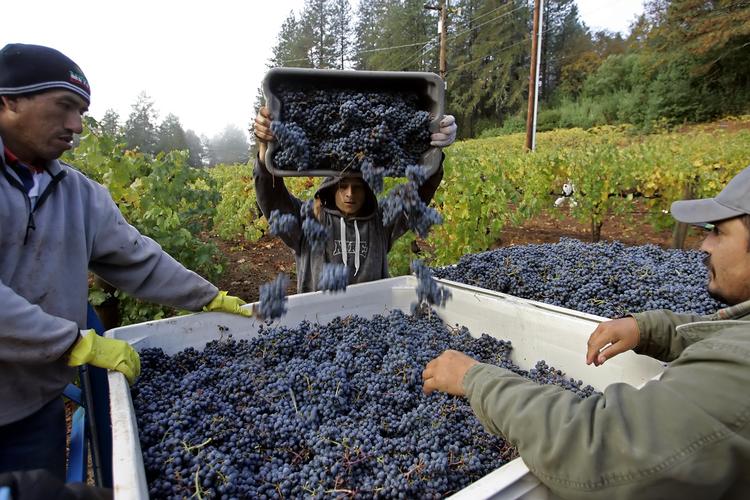 Arkivfoto Eric Risberg