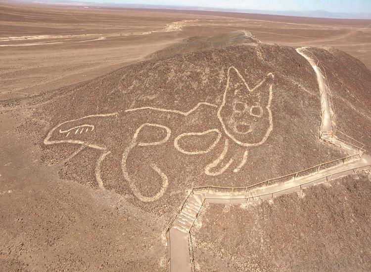 Et luftfoto af katten, som det peruanske kulturministerium har taget. Foto: -/Ritzau Scanpix