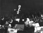 Wilhelm Furtwängler fotograferet i 1952, året efter genåbningen af festspillene i Bayreuth. Arkivfoto Dpa