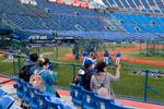 Basballfans på plads i Yokohama. 
 Foto: Kazuhiro Nogi/Ritzau Scanpix