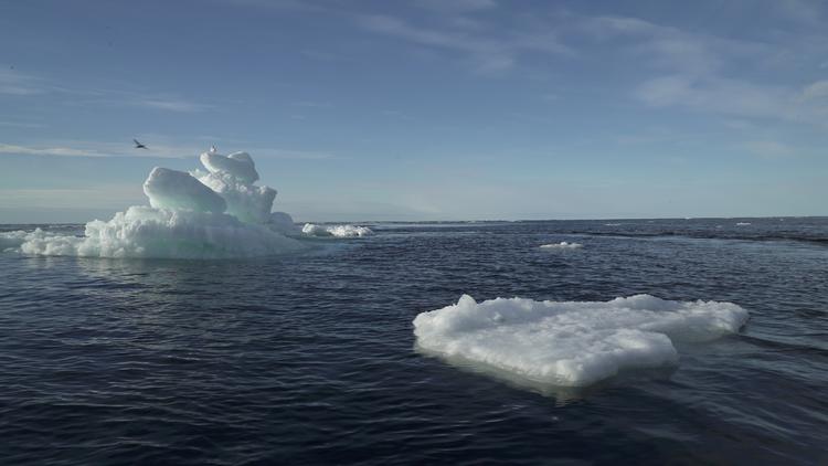 Joe Biden lover, at han vil bringe USA tilbage til gruppen af lande, som tager klimaforandringerne alvorligt. Men foreløbig er det ikke sikkert, at han bliver valgt til præsident. Foto: Natalie Thomas/Ritzau Scanpix