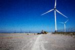 Vestas kan få yderligere fremgang i USA, hvis Joe Biden kommer igennem med sin klimapolitik.  Foto: Martin Lehmann