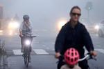 Foto: Jens Dresling (arkiv)/POLFOTO