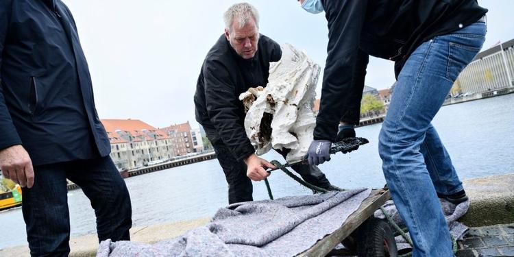 Mere end halvdelen af befolkningen overvurderer betydningen af pengene fra slavehandlen i forhold til byggerier i København, viser ny undersøgelse. En opfattelse, som særligt yngre respondenter kan have fået fra den offentlige debat i kølvandet på den såkaldte buste-aktion på Kunstakademiet, der ville sætte fokus på emnet, lyder det fra forskningschef på Nationalmuseet. Her ses busten af Frederik V, da den blev reddet op fra Københavns havn. Foto: Philip Davali