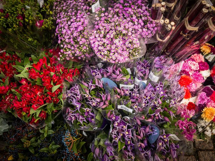 Død over dusken. Der er ingen grund til at slæbe afskårne blomster ind i folks hjem, bare fordi de har været så venlige at lave mad til dig.   Foto: Per Munch