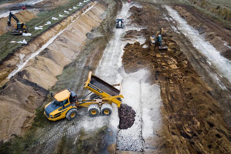 Døde mink bliver lagt i massegrave på militæretsøvelsesområde ved Nørre Felding i Midtjylland.  Foto: Casper Dalhoff/Casper Dalhoff