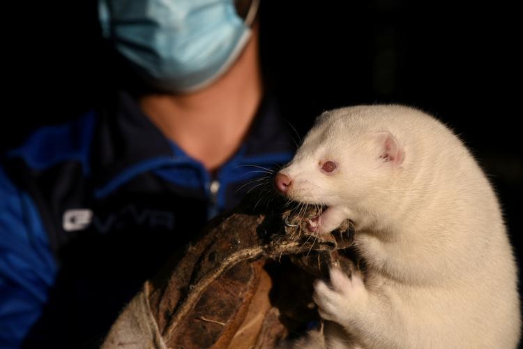 Foto: Alexandros Avramidis/Ritzau Scanpix