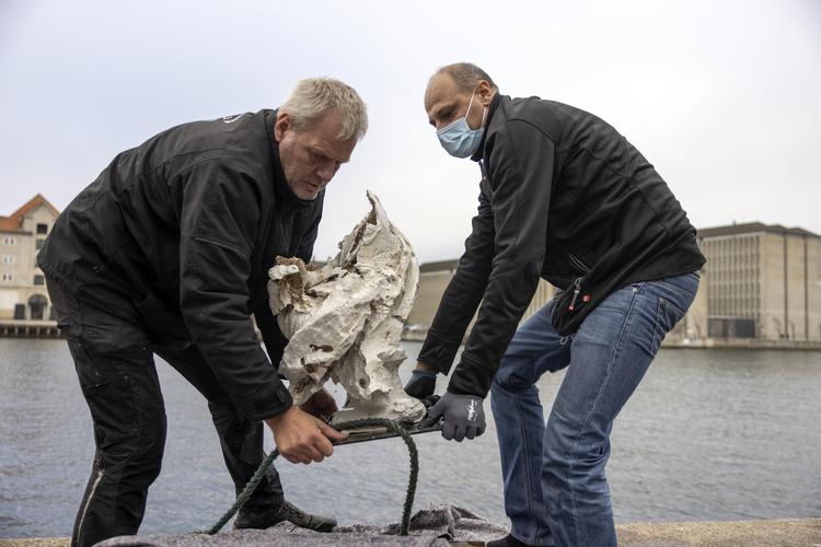 Arkivfoto Jesper Houborg