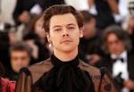 Harry Styles optræder på forsiden af det seneste nummer af Vogue i en kjole, hvilket har udløst kritik fra konservative kommentatorer.  Foto: Andrew Kelly/Ritzau Scanpix