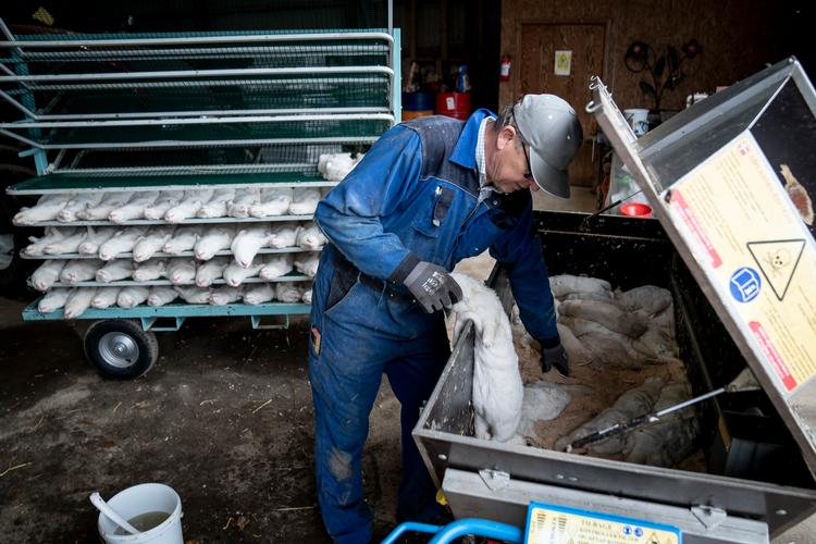 Foto: Mads Claus Rasmussen/Ritzau Scanpix