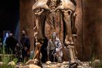 Det er godt set af folkene på Moesgaard at låne det sibiriske mammutskelet fra Skandinavisk Dyrepark og placere det i fortællingen om neandertalerne. Foto: Moesgaard Museum 