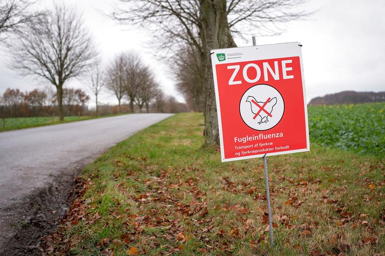 Foto: Bo Amstrup/Ritzau Scanpix