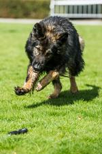 Foto: Hansen Michael/POLFOTO