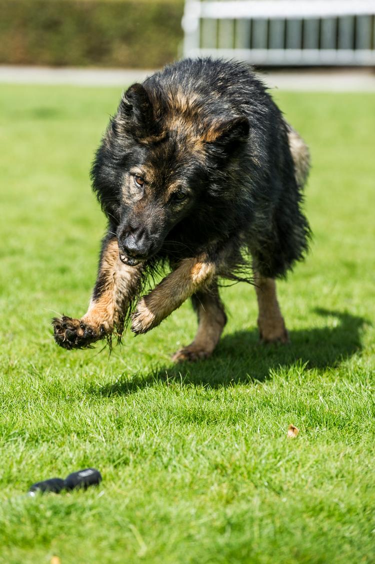 Foto: Hansen Michael/POLFOTO