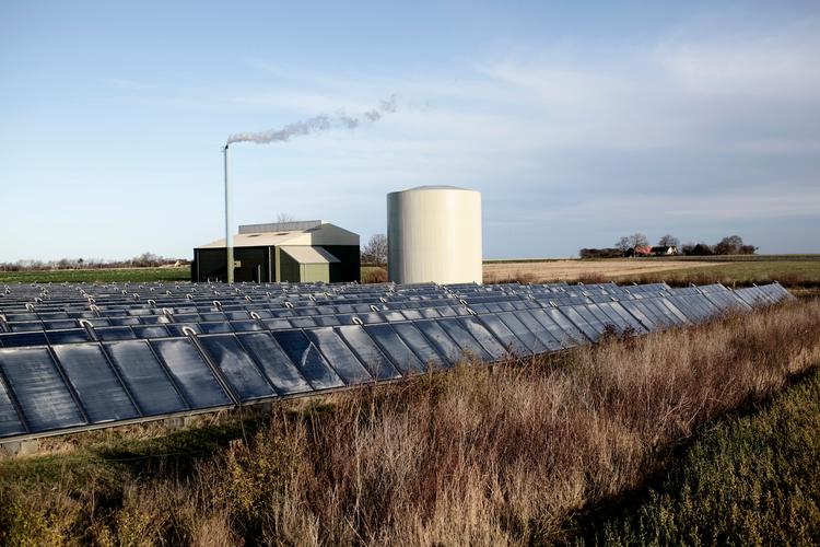 Foto: Miriam Dalsgaard/POLFOTO