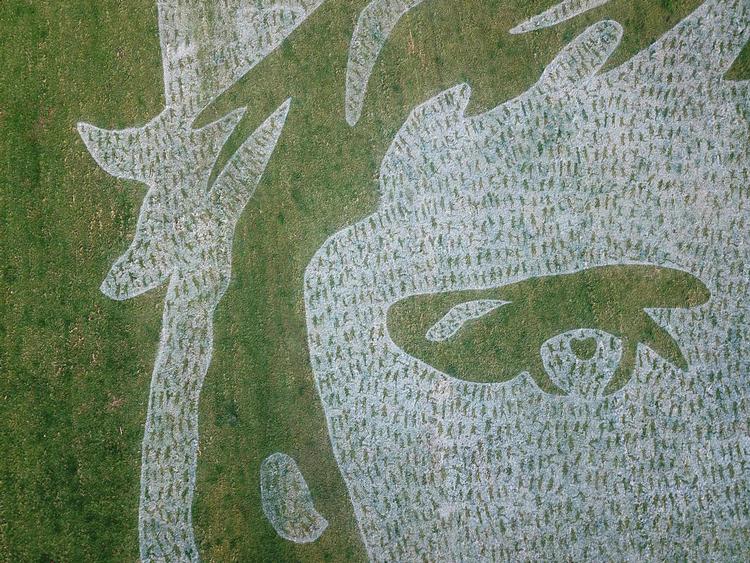 Et luftfoto af kunstværket "'6000 børn" af det britiske kunstnerkollektiv Sand In Your Eye til Unicefs børnedag sidste uge. Værket i Hebden Bridge vest for Leeds i England består af 6000 legende børn i naturlig størrelse: Så mange børn i verden risikerer ifølge Unicef at dø hver dag på grund af ringe adgang til corona-behandling i deres lande. Foto: Paul ELLIS / AFP
ILLUSTRATE THE EVENT AS SPECIFIED IN THE CAPTION Foto: Paul Ellis/Ritzau Scanpix