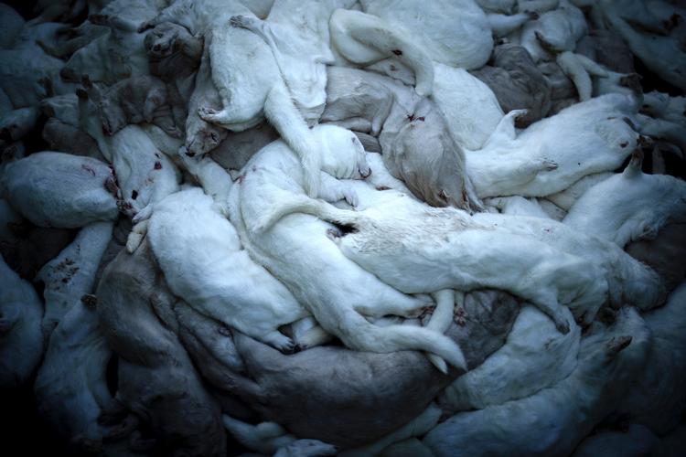 Foto: Marius Renner/POLFOTO