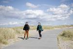 Københavns Kommune ønsker at så strandengs-blomster langs Lagunen i strandparken. (arkivfoto) Foto: Andreas Merrald/POLFOTO