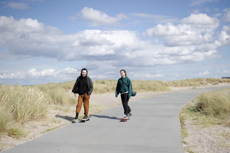 Københavns Kommune ønsker at så strandengs-blomster langs Lagunen i strandparken. (arkivfoto) Foto: Andreas Merrald/POLFOTO