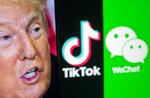 Donald Trump har udtrykt stor bekymring for, at appen TikTok kan sætte den nationale sikkerhed i fare.  Foto: Dado Ruvic/Ritzau Scanpix