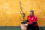 Da Kaspar Colling Nielsen var ti år, ønskede han sig brændende et bordtennisbat. I stedet stedet fik han andet bind af Dostojevskijs ‘Idioten’, og i dag forstår han stadigvæk ikke hvorfor. Nu giver han oftest sine børn, hvad de ønsker sig, men vil allerhelst overraske uden for højtiderne Foto: Annika Byrde/POLFOTO