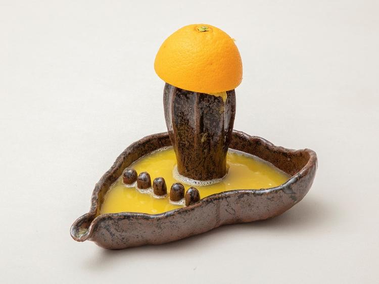 Det er ikke sikkert, at denne citruspresser holder alle kernerne tilbage, men det opvejes til fulde af dens skulpturelle og modellerede udtryk.  Foto: Ole Akhøj