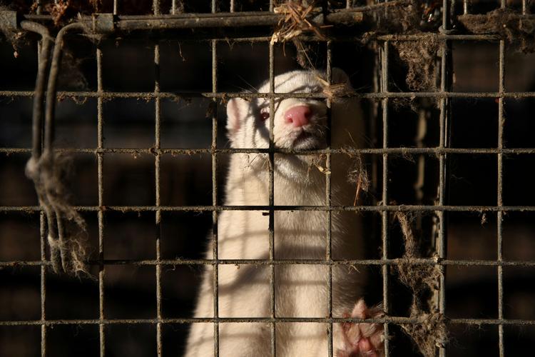Foto: Alexandros Avramidis/Ritzau Scanpix