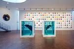 Damien Hirst-værket 'Kærlighedens paradoks' fra 2007 er blandt 13 værker af kunstneren i museet Arkens samling. Arkens direktør vil under ingen omstændigheder sælge nogle af dem.  