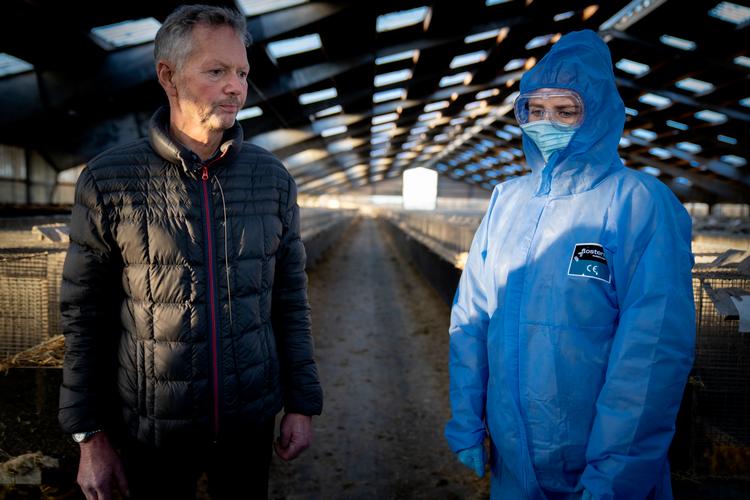 Statsminister Mette Frederiksen (S) på besøg hos minkavler Peter Hindbo ved Kolding. Her gav hun samtidig den første undskyldning for de tumultariske uger, der har ført til, at minkerhvervet reelt er nedlagt i Danmark.  Foto: Mads Nissen/POLFOTO