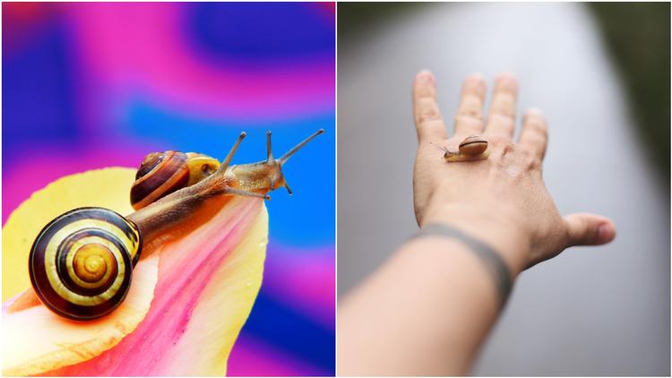 Foto: Krzyszto Niewolny & Ksenia Makagonova/Unsplash