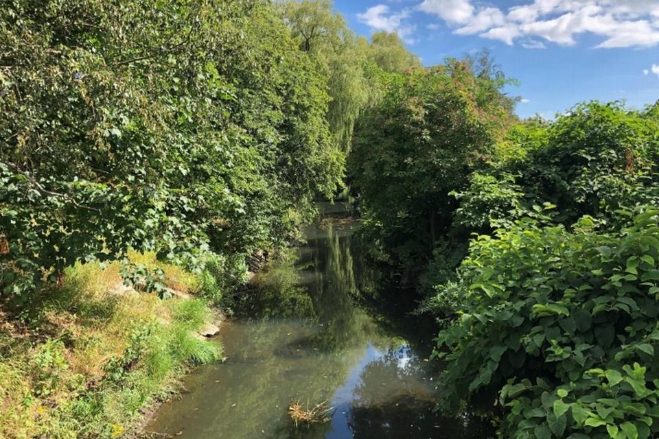 Foto: Københavns Kommune/SLA