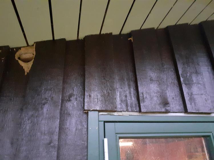 Oppe under taget gemmer sig et mystisk hul. Privatfoto 
