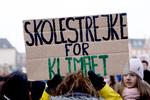 De grønne ungdomsbevægelser er utilfredse med den aftale om en grøn skattereform, som blev indgået tirsdag eftermiddag.   Foto: Finn Frandsen/POLFOTO