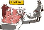 Foto: Mette Dreyer/Politiken-Tegning