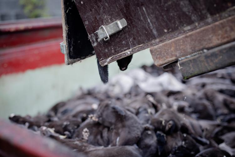 Foto: Marius Renner/POLFOTO