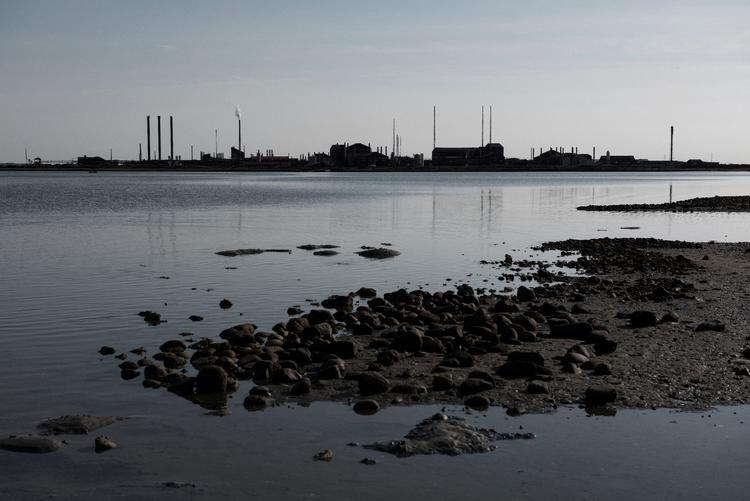 Grunden under Cheminovas nuværende fabrik, der ligger ud til Limfjorden, er også kraftigt forurenet og med på listen over Danmarks ti værste jordforureninger. Foto: Joachim Ladefoged/POLFOTO