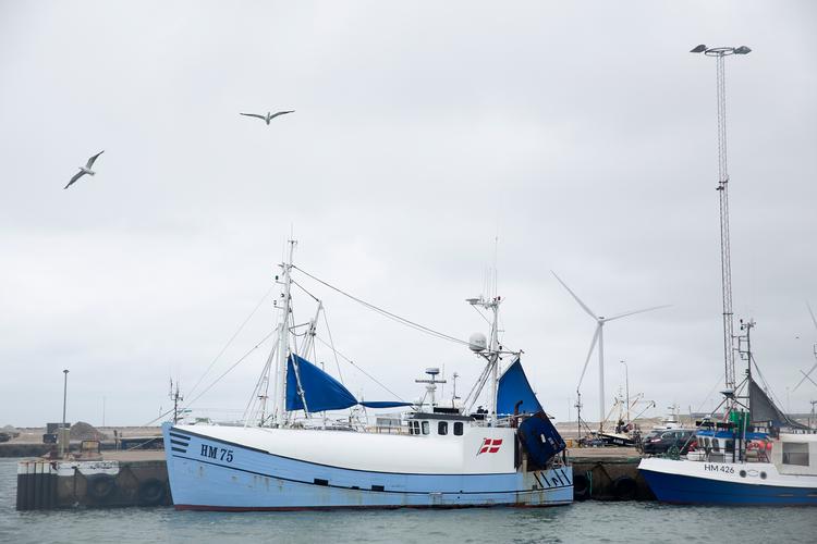 Fiskeriet er en af de knaster, der er skyld i, at EU og Storbritannien stadig står langt fra hinanden i forhold til brexit. Foto: Thomas Borberg/POLFOTO