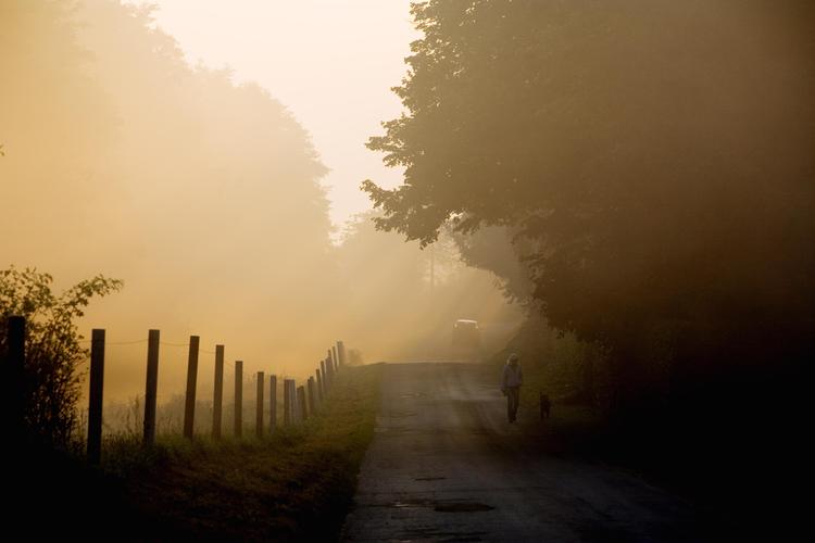 Det har indtil nu været en meget grå december. Men det vil nok ændre sig en smule i den kommende uge. Solen vil kigge frem af og til. Foto: Carsten Ingemann/POLFOTO