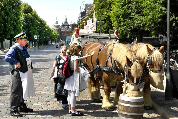 Foto: Bo Svane/POLFOTO
