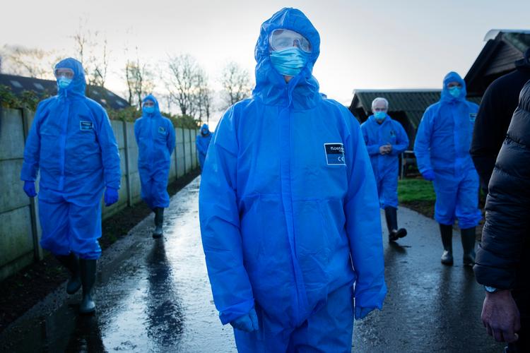 Statsminister Mette Frederiksen, der her besøger en minkfarm, traf beslutninger uden lovhjemmel. Men det er ikke dokumenteret, at regeringen har løjet for Folketinget.   Foto: Mads Nissen/POLFOTO