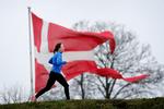Københavns Fæstningsværk inkluderer bl.a. Kastellet, som er et populært sted at løbe. Foto: Jens Dresling/POLFOTO