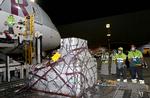 En enorm logistisk øvelse finder sted i disse dage: Millioner af vaccine-doser skal ud til hele verden. Her er det lufthavnen Qatar's Hamad International Airport, hvor vacciner ankommer med luftpost. Foto: -/Ritzau Scanpix