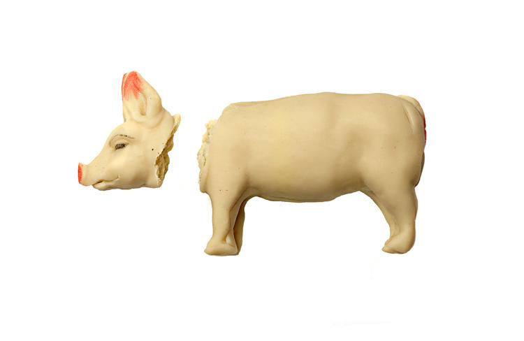 Foto: Martin Bubandt/POLFOTO