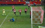 Sejrsmålet mod Newcastle fejres af Brentfordspillerne. Foto: Matthew Childs/Ritzau Scanpix