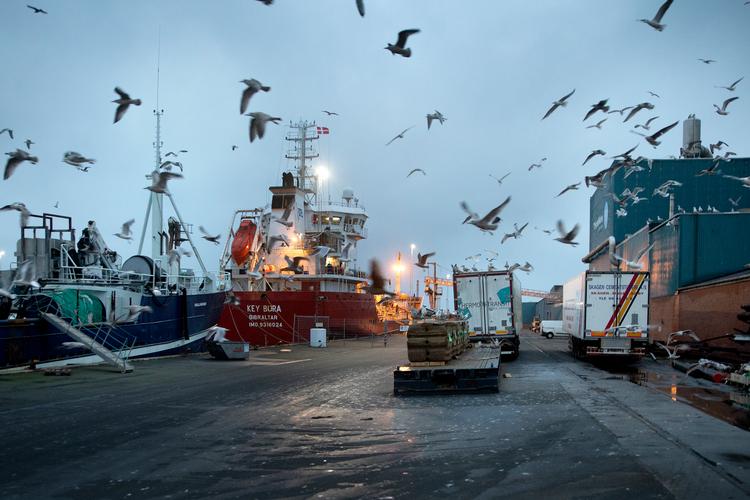 Foto: Finn Frandsen/POLFOTO