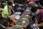 Laa på 26 år kommer fra Myanmar og sælger skalddyr på Khlong Toei-markedet, der er et af Bangkoks største markeder. Kunderne kommer stadig, men han oplever, at de er blevet mere bange for smitte. »Mange holder sig på afstand af mig«, siger han. Foto: Claus Blok Thomsen
