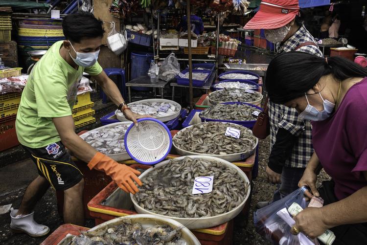 Laa på 26 år kommer fra Myanmar og sælger skalddyr på Khlong Toei-markedet, der er et af Bangkoks største markeder. Kunderne kommer stadig, men han oplever, at de er blevet mere bange for smitte. »Mange holder sig på afstand af mig«, siger han. Foto: Claus Blok Thomsen