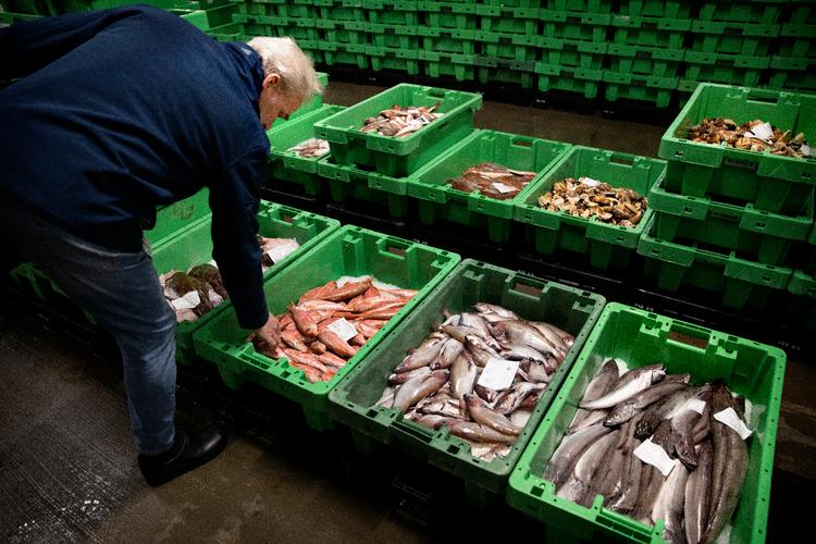 Foto: Finn Frandsen/POLFOTO