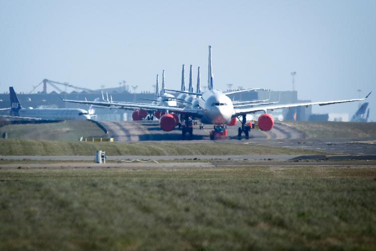 30 procent af verdens passagerfly har stået på landjorden i 2020 ifølge analyseinstituttet Cirium. Det ramte også SAS' fly som her på rullebane Alfa i Københavns Lufthavn. Foto: Jens Dresling/POLFOTO